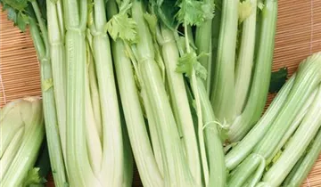 Zum Vergrößern klicken Bildvorschau