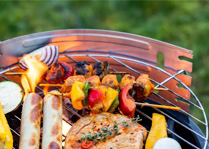 Smoker, Gas oder Holzkohle - Wie schmeckt Grillen am besten?