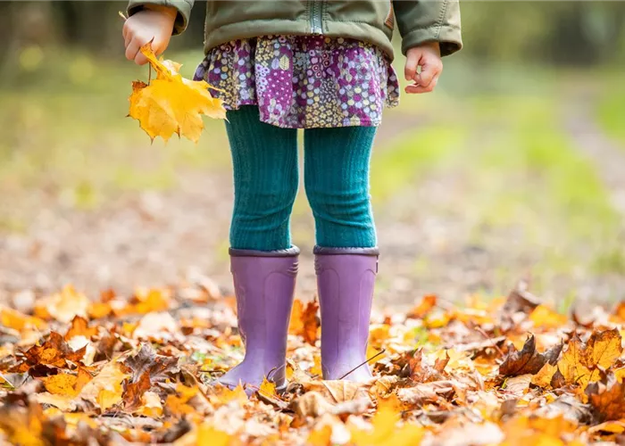Gartenarbeit vor dem Winter - Vorbereitung für die kalte Jahreszeit Gartenarbeit vor dem Winter - Vorbereitung für die kalte Jahreszeit