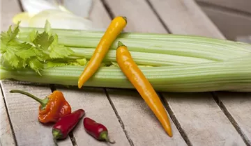 Zum Vergrößern klicken Bildvorschau