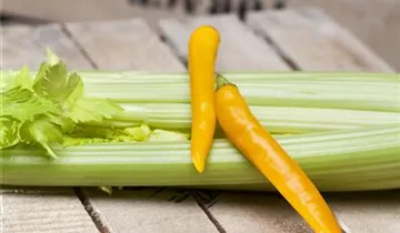 Zum Vergrößern klicken Bildvorschau